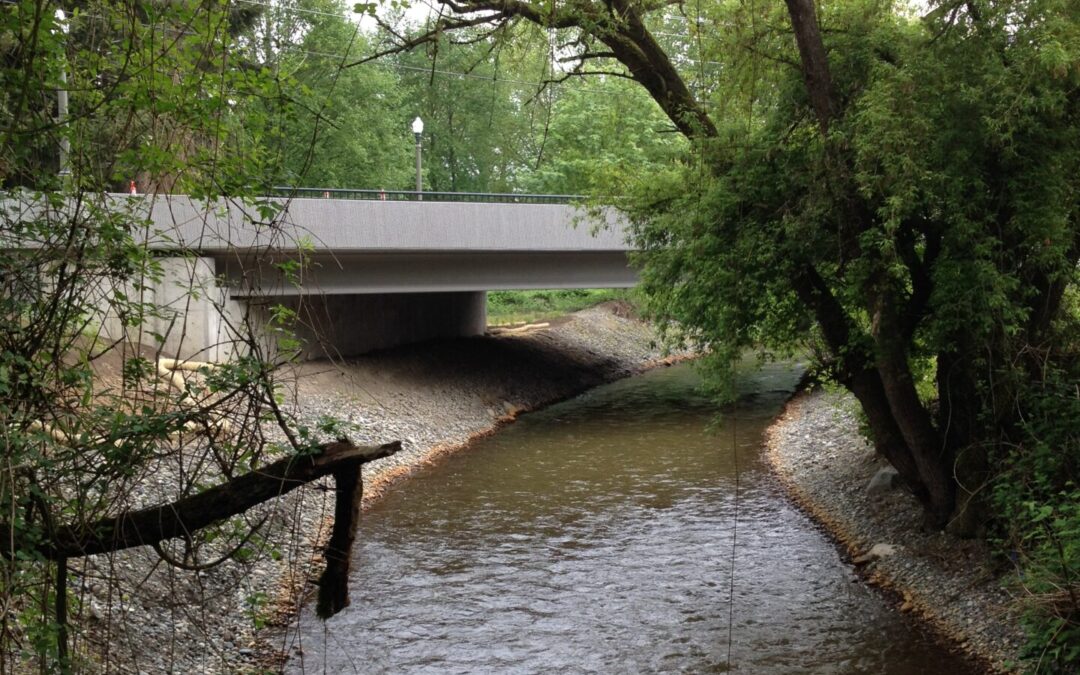 MAIN STREET FISHTRAP CREEK CULVERT REPLACEMENT